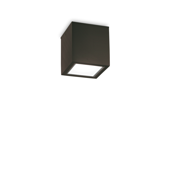Влагозащитный накладной светильник Ideal lux TECHO PL1 SMALL NERO 251578 - фото 11122