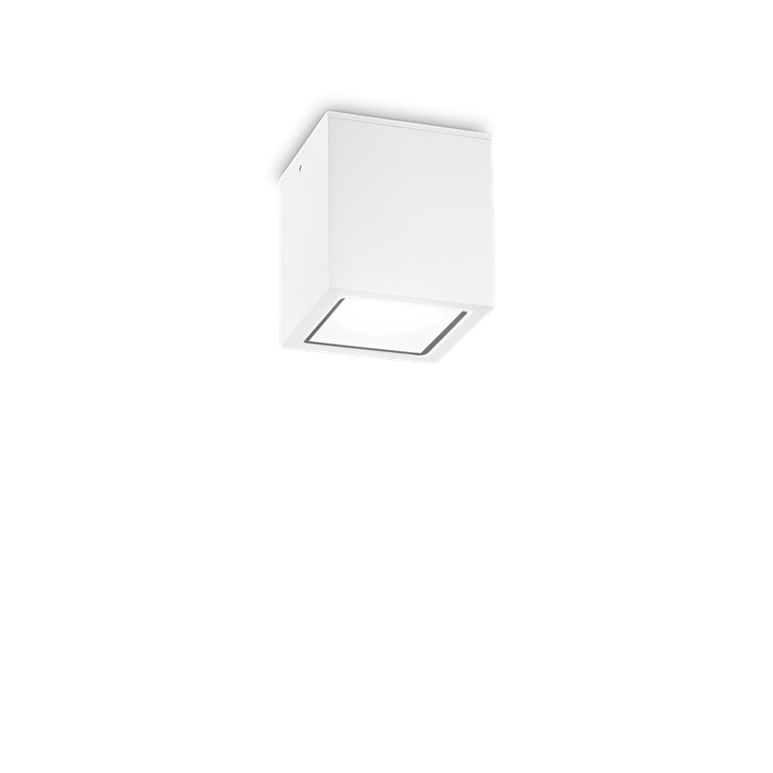 Влагозащитный накладной светильник Ideal lux TECHO PL1 SMALL BIANCO 251561 - фото 11125