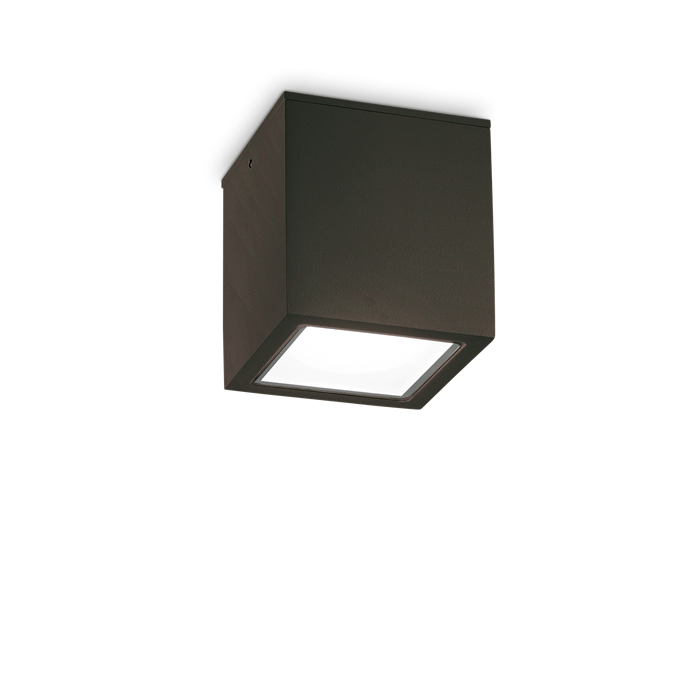 Влагозащитный накладной светильник Ideal lux TECHO PL1 BIG NERO 251530 - фото 11129