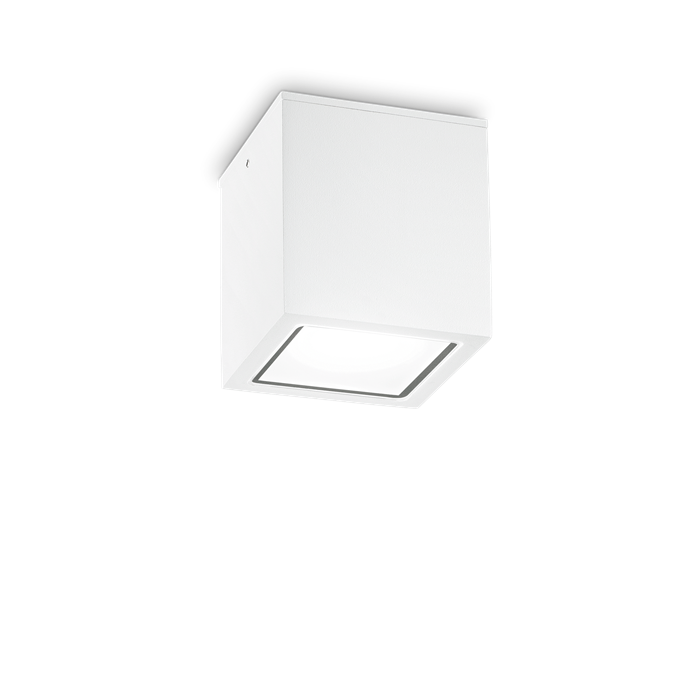 Влагозащитный накладной светильник Ideal lux TECHO PL1 BIG BIANCO 251523 - фото 11131