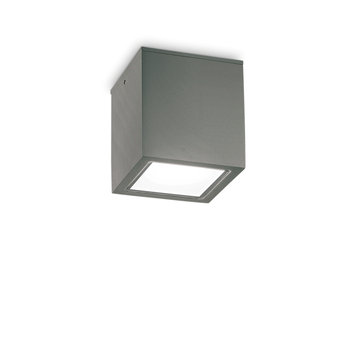 Влагозащитный накладной светильник Ideal lux TECHO PL1 BIG ANTRACITE 251516 - фото 11132