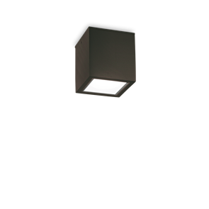 Влагозащитный накладной светильник Ideal lux TECHO PL1 SMALL NERO 251578