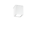 Влагозащитный накладной светильник Ideal lux TECHO PL1 SMALL BIANCO 251561 - фото 11125